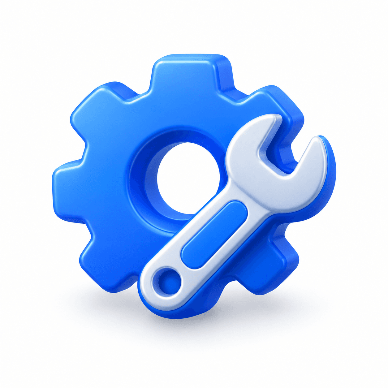 Maintenance & Support